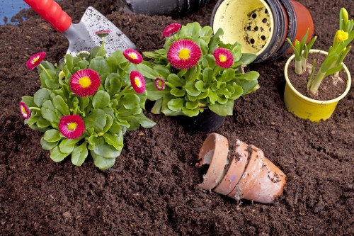 Garden clearance professionals at work in Teddington