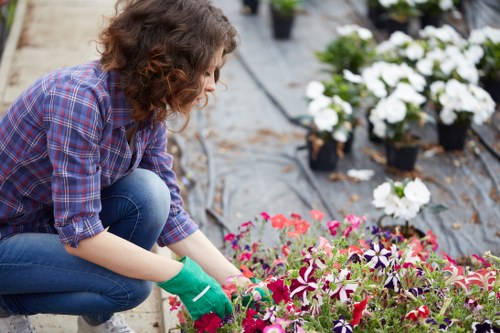 Gardener inspecting a garden bed for complaint review