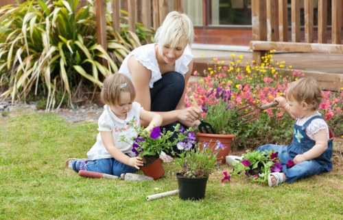 Deck installation and maintenance services