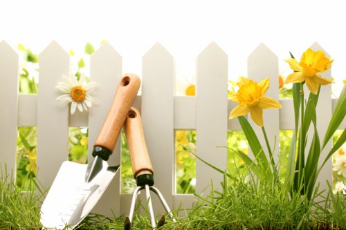 Healthy green lawn maintained by experts