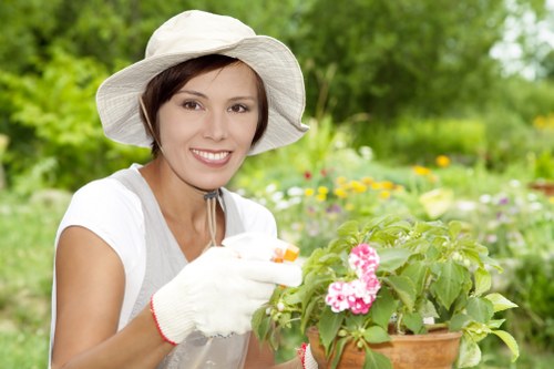 Professional garden maintenance services in Teddington