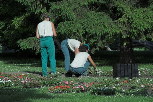 Tools used for hedge trimming