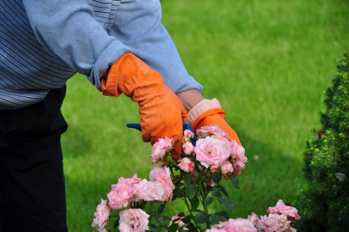 Advanced lawn mowing equipment and techniques