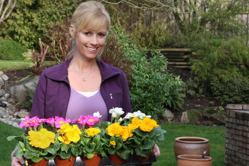 Step-by-step garden design process