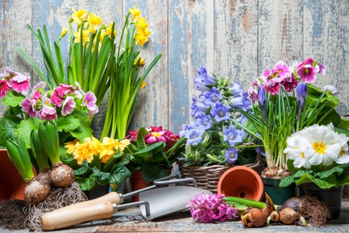 Eco-friendly lawn care practices in Teddington
